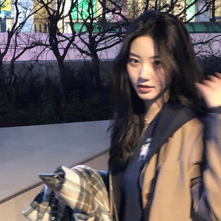 动物成长